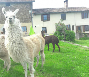 Гостиница Ferme Animalière Lamalpapoche Sanctuaire la Prairie des animaux  Морс